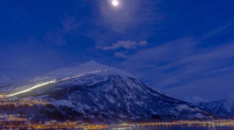 Narvik